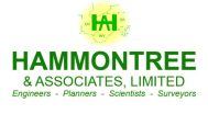 Hammontree & Associates, Limited Logo